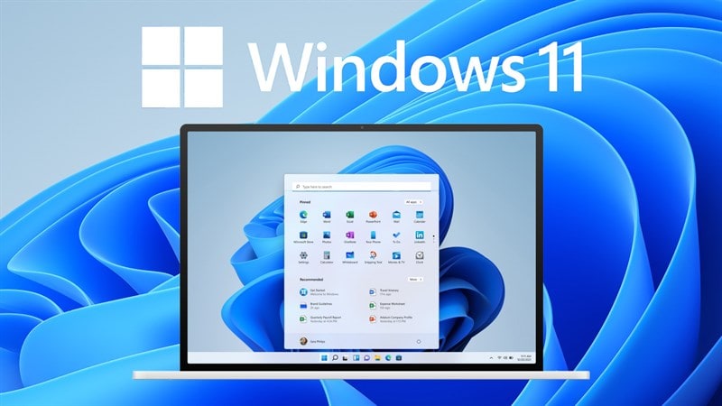 Window 11